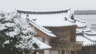 Korea in Winter Time: When to Go, What It Costs, and How to Plan