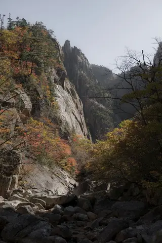 Korea in Autumn: Timing the Foliage, Chuseok, and the Weather