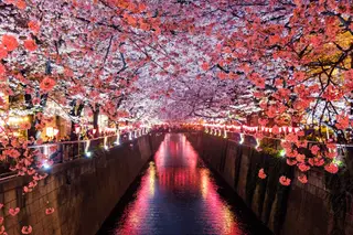 Best Time to Visit Korea and Japan on One Trip