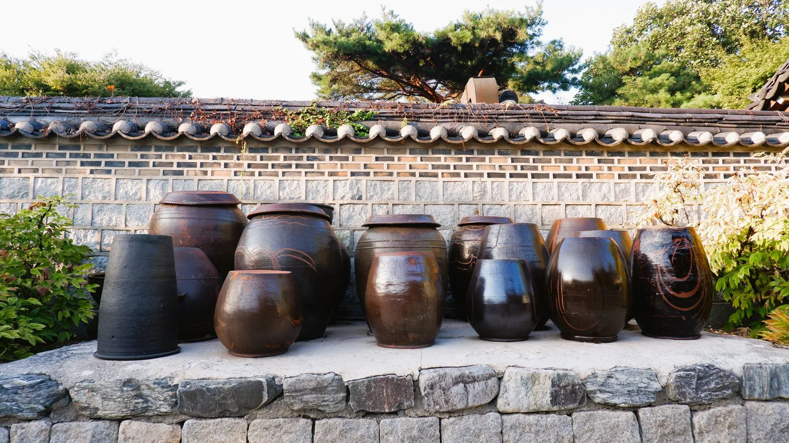 Row of traditional Korean onggi jars set against a stone wall in natural light.