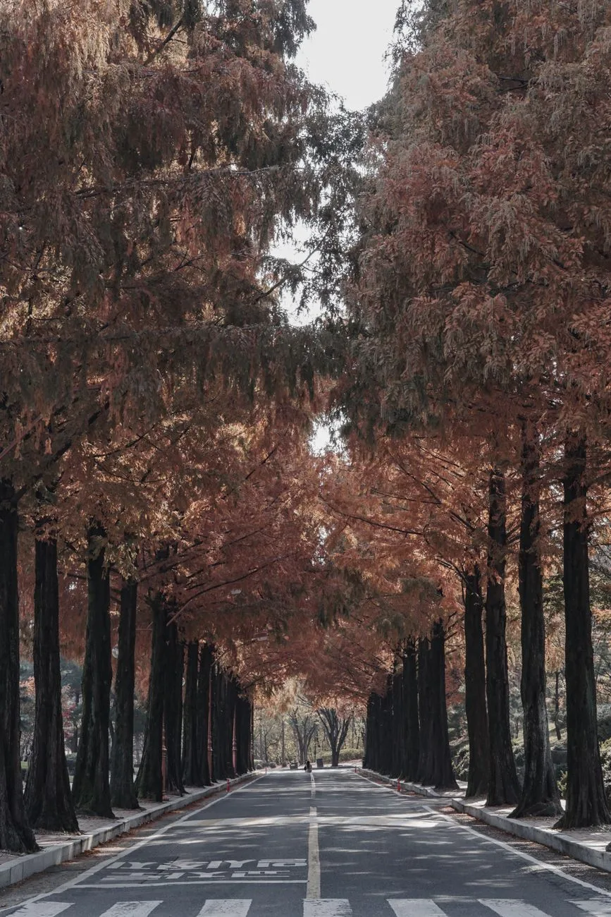Day Trips From Seoul: The Three-Hour Rule and What 8 Trips Cost