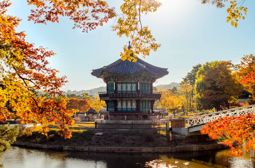 Best Time to Visit Korea by Weather: A Month-by-Month Climate Guide