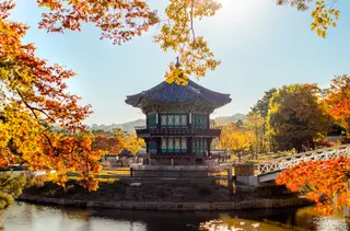 Best Time to Visit Korea by Weather: A Month-by-Month Climate Guide