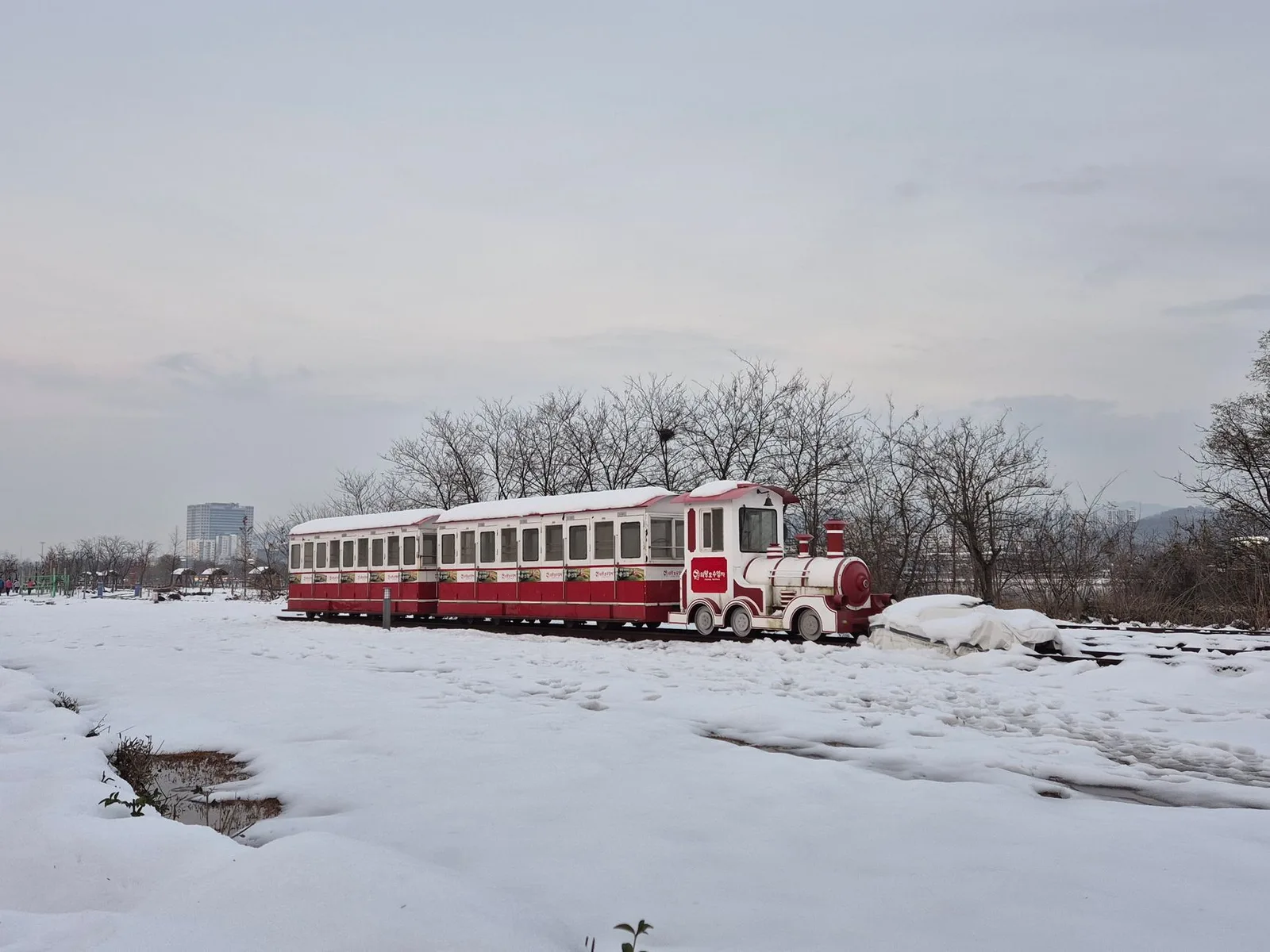 A red and white tourist train sits in a snowy park landscape in Gyeonggi, South Korea.