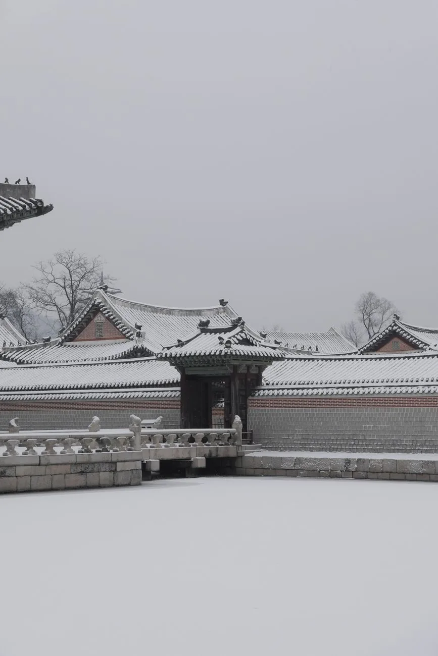 South Korea in Winter Itinerary: A 7-Day Seoul and Snow Route