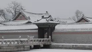 South Korea in Winter Itinerary: A 7-Day Seoul and Snow Route