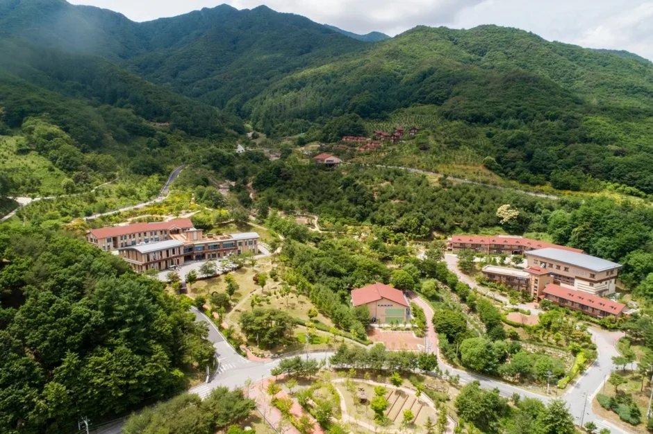 National Center for Forest Therapy: What a Night at Daseurim Costs and Who Should Book