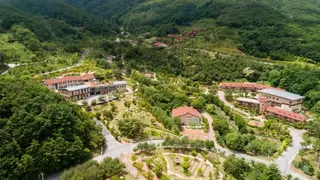 National Center for Forest Therapy: What a Night at Daseurim Costs and Who Should Book