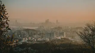 South Korea One Week Trip Cost: The ₩1,180,300 Line-by-Line Budget