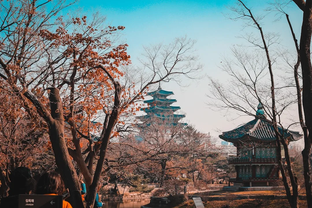 Autumn foliage at a palace in Seoul, Korea